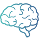 brain-2